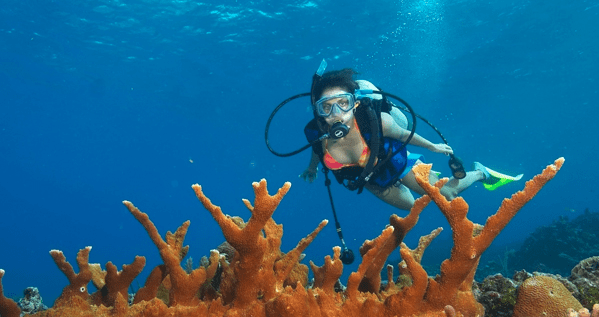 best Cancun diving